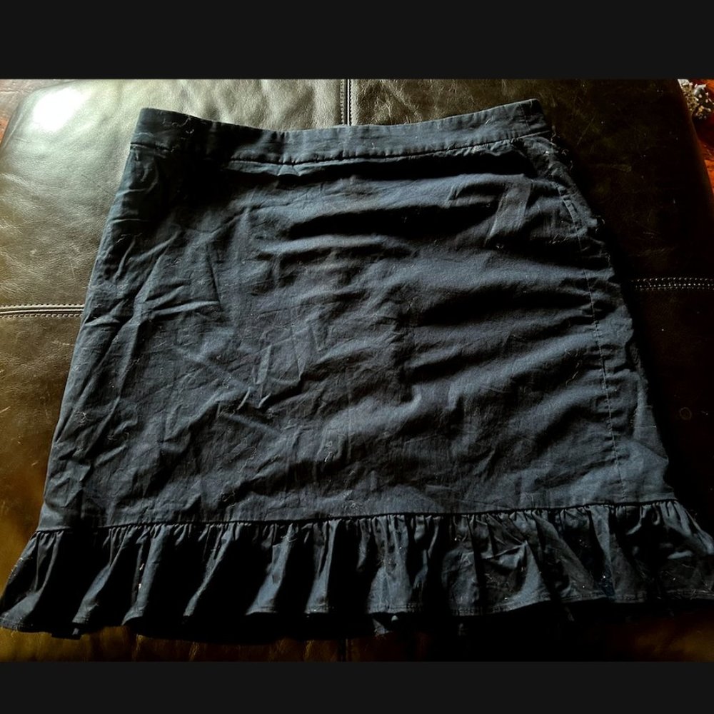 J Crew - Work Professional Skirt